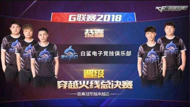 这个视频告 这个视频告