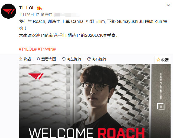 他们的队友 他们的队友